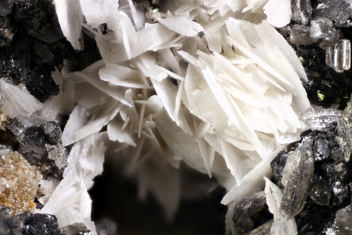 Baryt mit Cerrusit und Galenit, Bildbreite 7.8 mm, Copyright F. Müller.