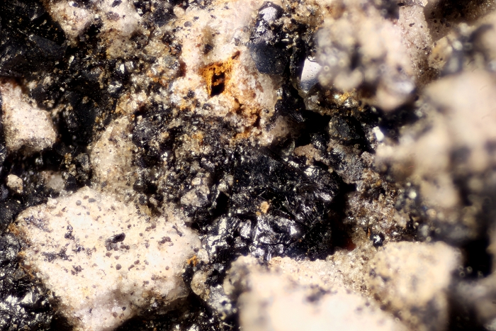 Bitumen (schwarz) auf Dolomit, geologische Schicht: Mutterflöz , Kupferschiefer Fossiliengrabung Hüggel 2016, Bildbreite 3.2 mm , Copyright F. Müller.