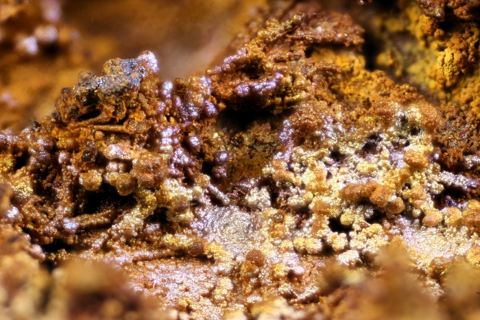 (Fe/Mn)-Oxid/Hydroxid, geologische Schicht: Zechsteinkalk , Kupferschiefer Fossiliengrabung Hüggel 2016, Bildbreite 3.2 mm , Copyright F. Müller.