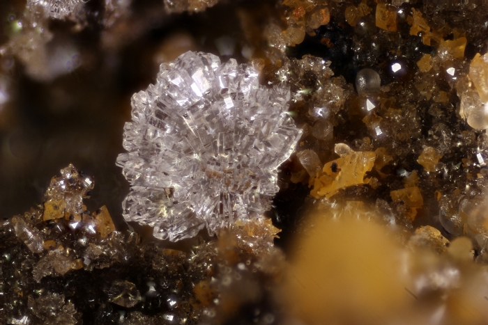 Hemimorphit, Bildbreite 3.2 mm, Copyright F. Müller.