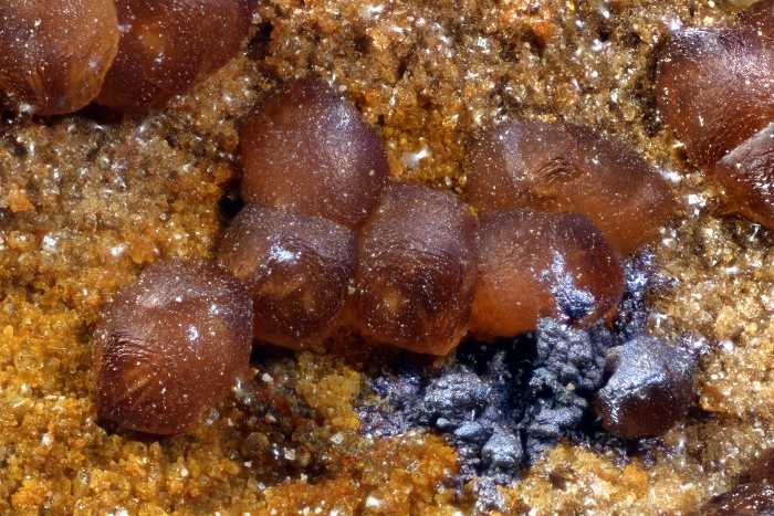 Mn-Smithsonit mit Goethit (Sammlung Dr. D. Stonjek), Bildbreite 3.2 mm, Copyright F. Müller.