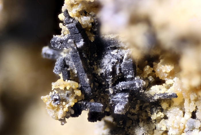 Galenit (Skelettkristall) mit Smithsonit in einem Nautiliden-Hohlraum, geologische Schicht: Kupferschiefer , Kupferschiefer Fossiliengrabung Hüggel 2016, Bildbreite 4.8 mm , Copyright F. Müller.