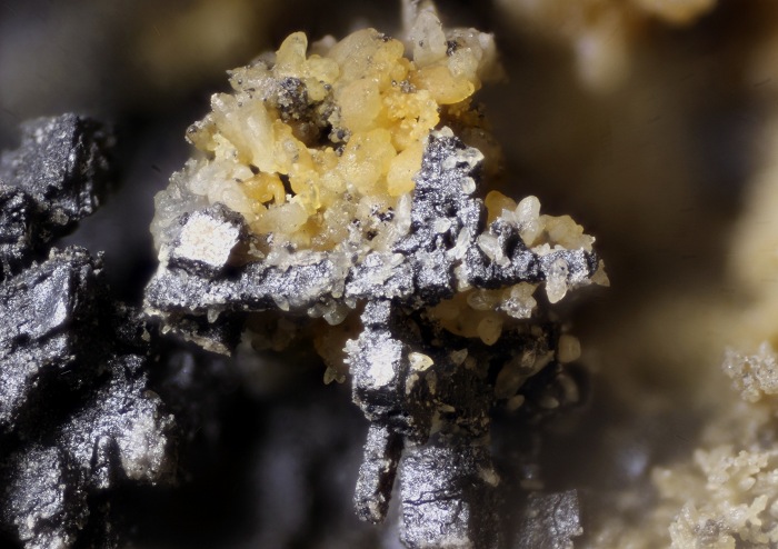 Galenit (Skelettkristall) mit Smithsonit in einem Nautiliden-Hohlraum, geologische Schicht: Kupferschiefer , Kupferschiefer Fossiliengrabung Hüggel 2016, Bildbreite 3.2 mm , Copyright F. Müller.