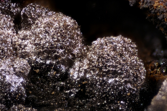 Todorokit, geologische Schicht: Zechsteinkalk , Kupferschiefer Fossiliengrabung Hüggel 2016, Bildbreite 3.2 mm , Copyright F. Müller.